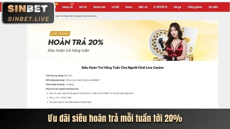 Biểu tượng thưởng nạp lại với tiền xu xếp chồng, minh họa ưu đãi nạp lại cho sảnh thể thao của tk88bet chính thức